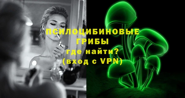 PSILOCYBIN Сатка